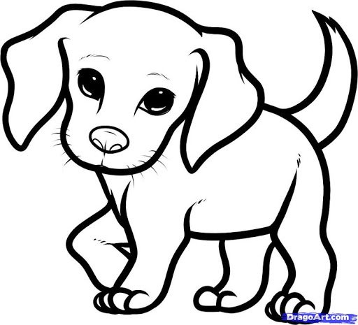 Cute Dog Drawing Creative Art