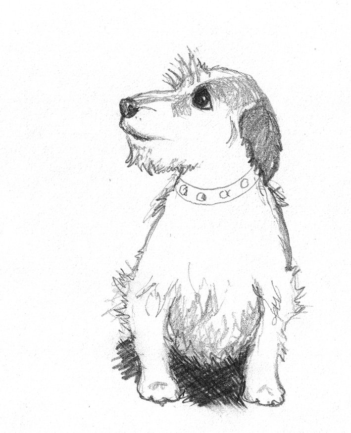 Cute Dog Drawing Realistic