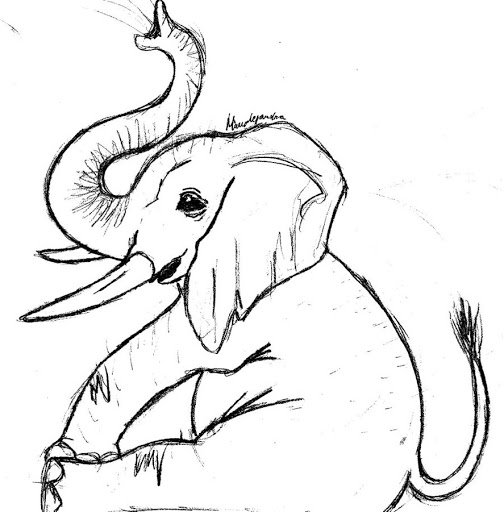 Cute Elephant Drawing Best