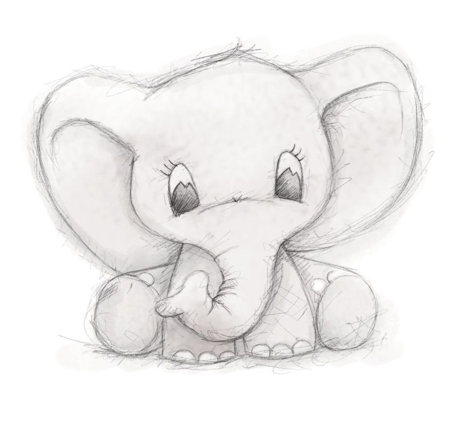Free Vector | Cute baby elephant and butterfly outline drawing to color-anthinhphatland.vn