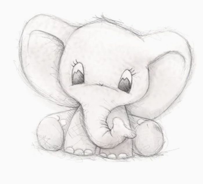 Cute Elephant Drawing Photo