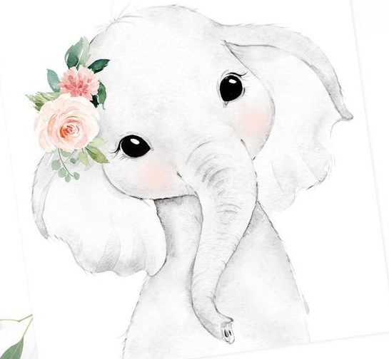 Cute Elephant Drawing Pic