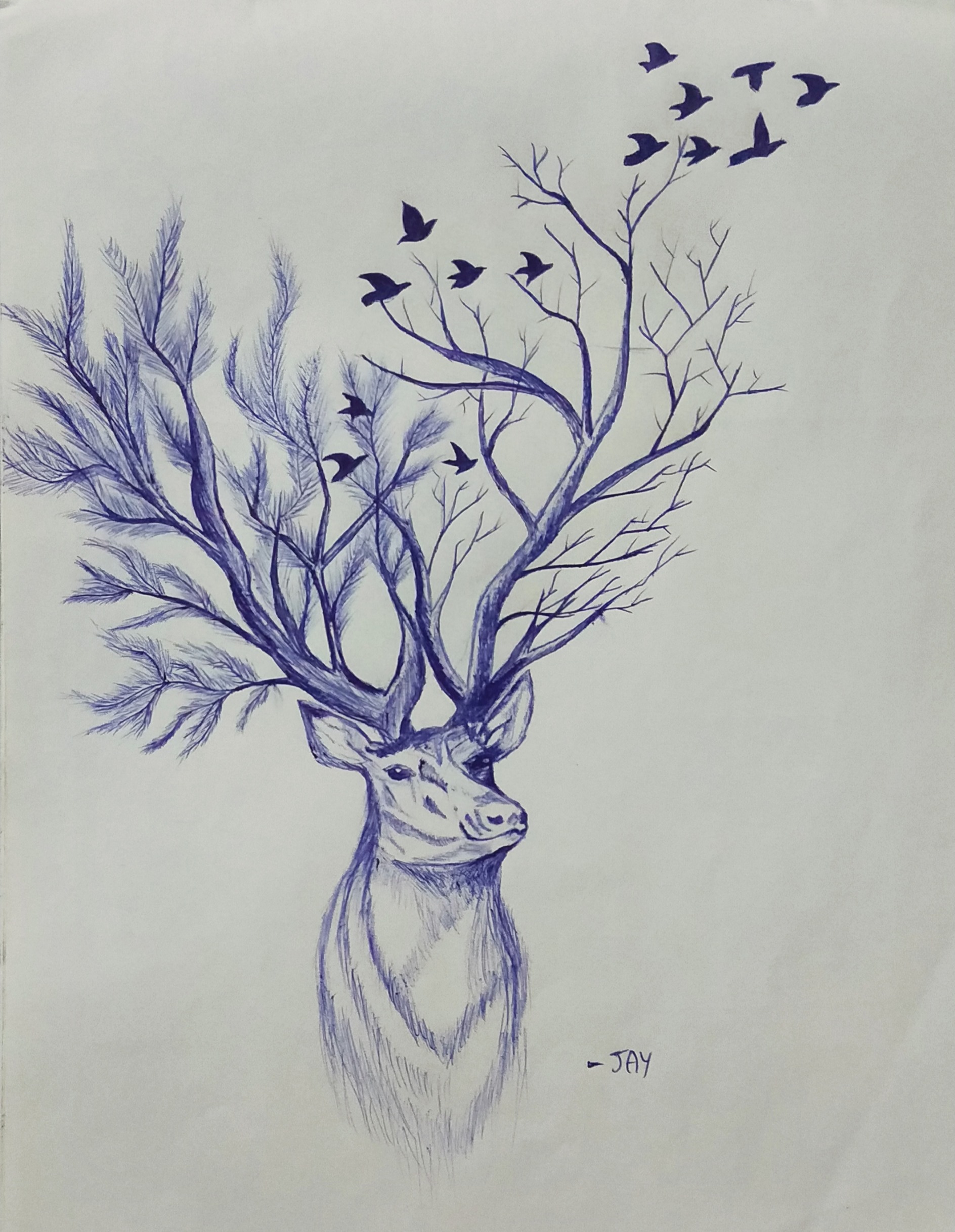 Deer – Ball Point Pen Drawing