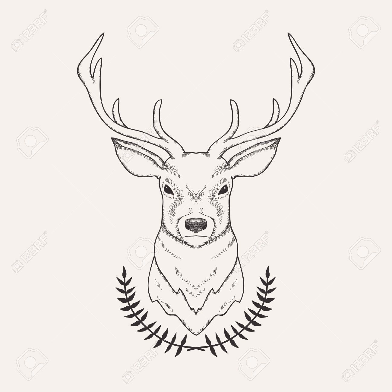 Deer Head Drawing Pics