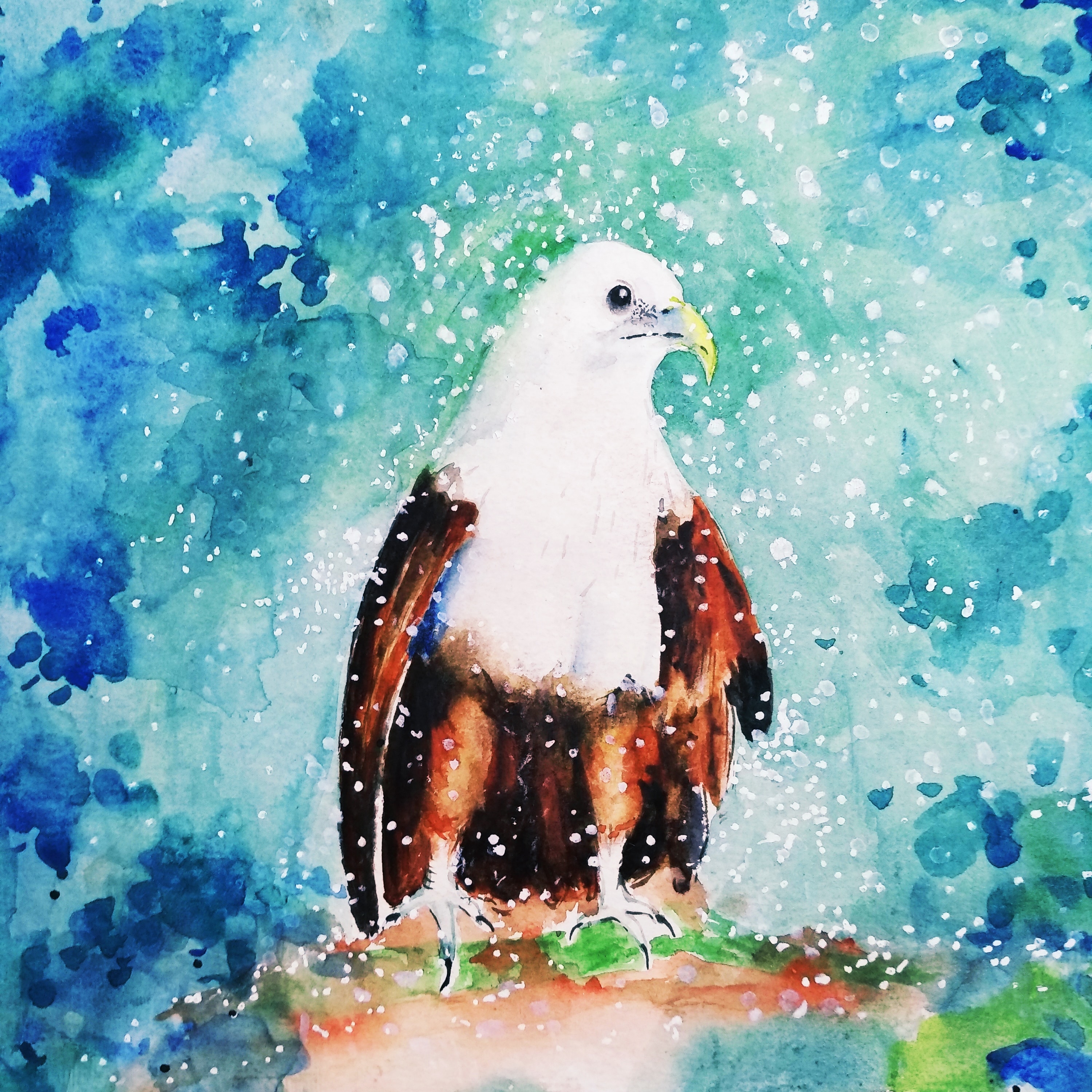 Eagle Colored Painting Drawing