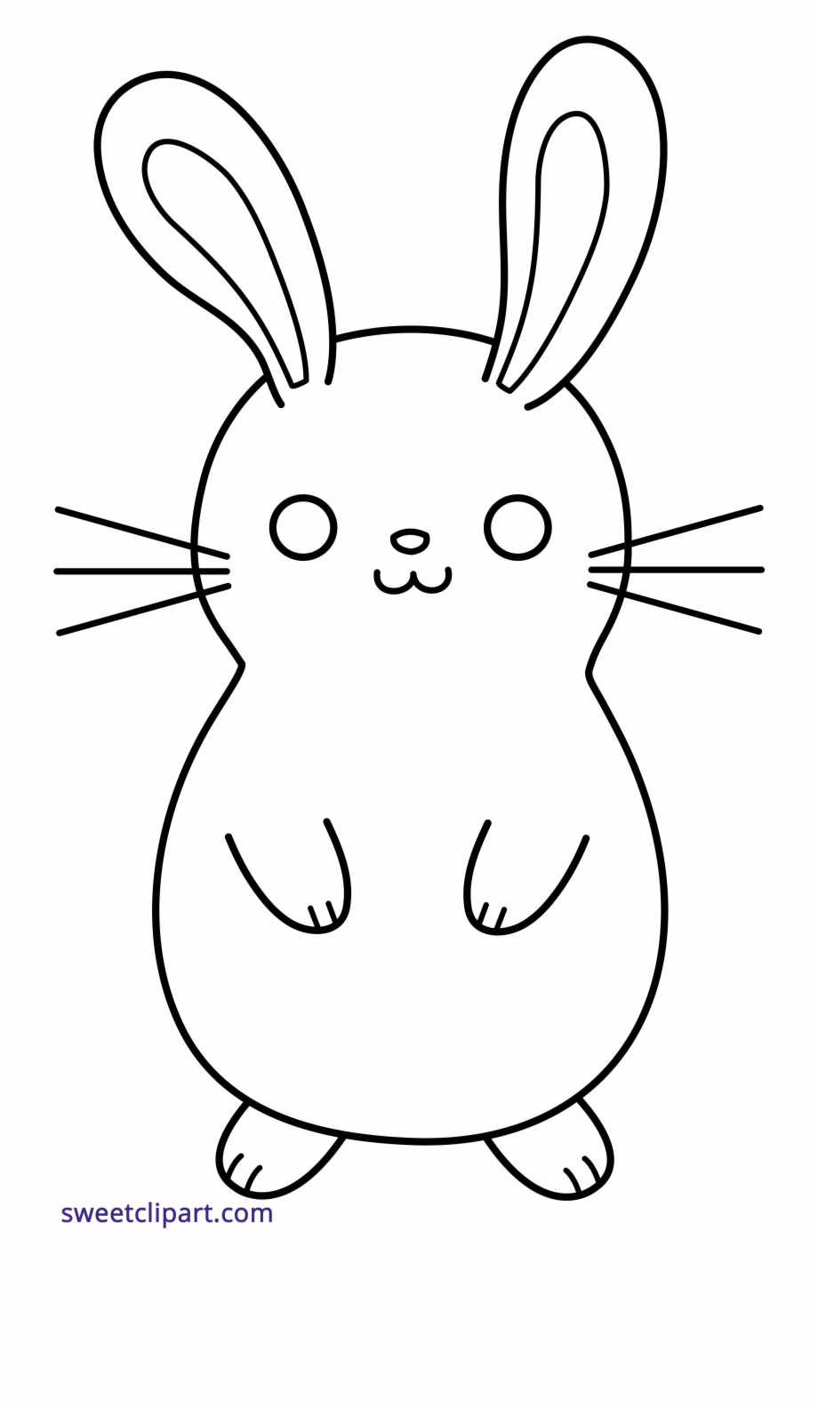 Easter Bunny Drawing Image