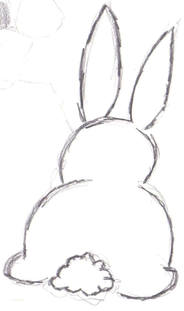 Easter Bunny Drawing Photo