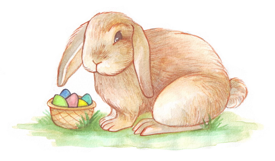 Easter Bunny Drawing Pic