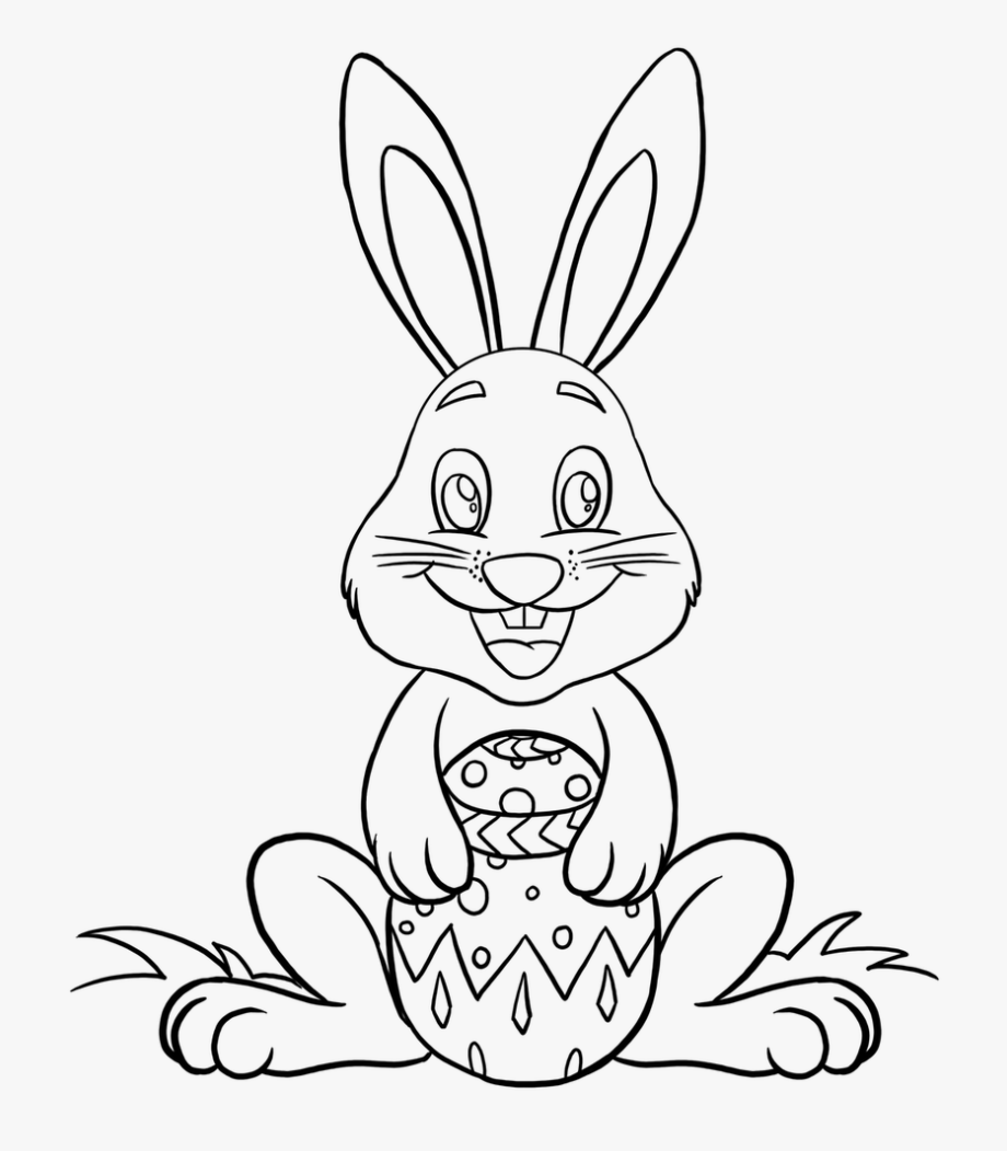 Easter Rabbit Drawing Pics