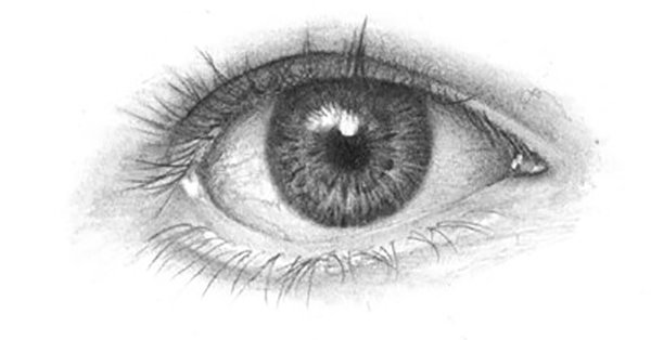 Eye Sketch Drawing Amazing