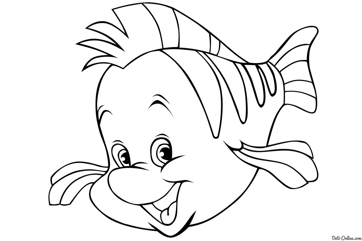 Flounder Drawing Photo