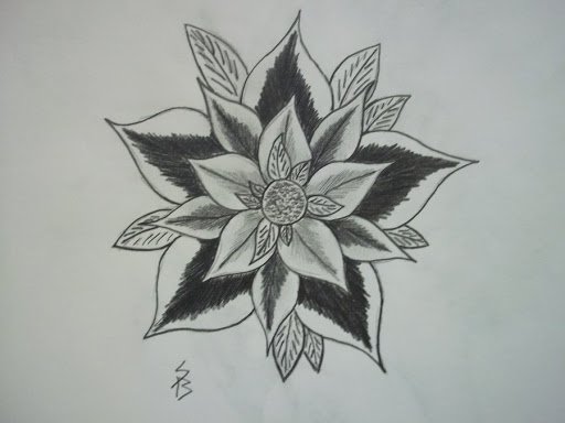 Flower Sketch Art Drawing