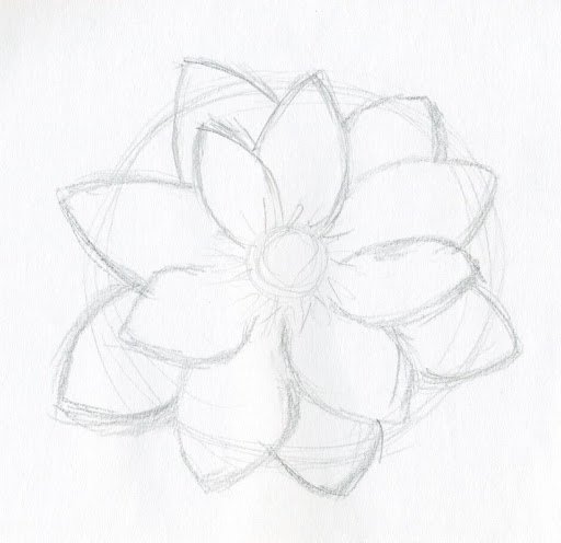 Flower Sketch Drawing Beautiful Art