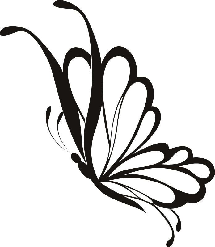 Flying Butterfly Drawing Image