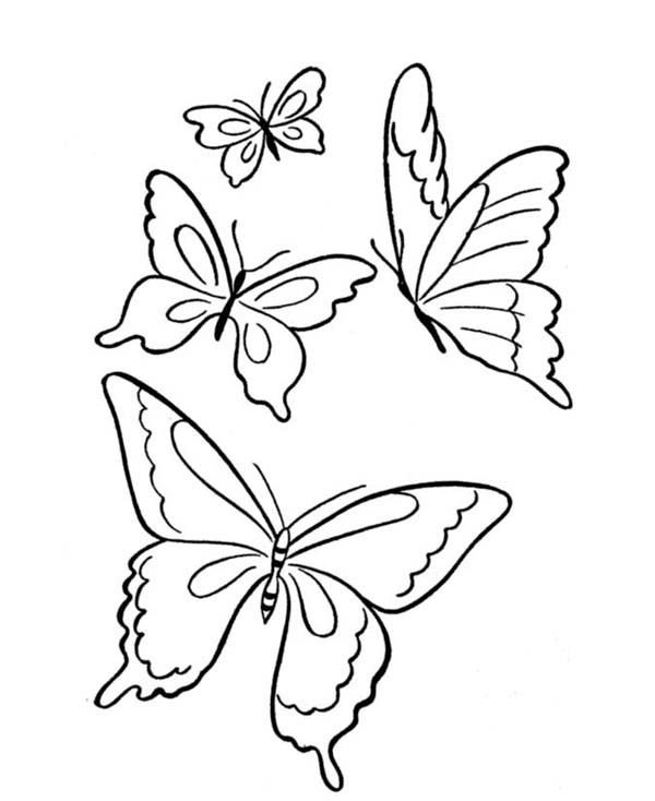 Flying Butterfly Drawing Pics