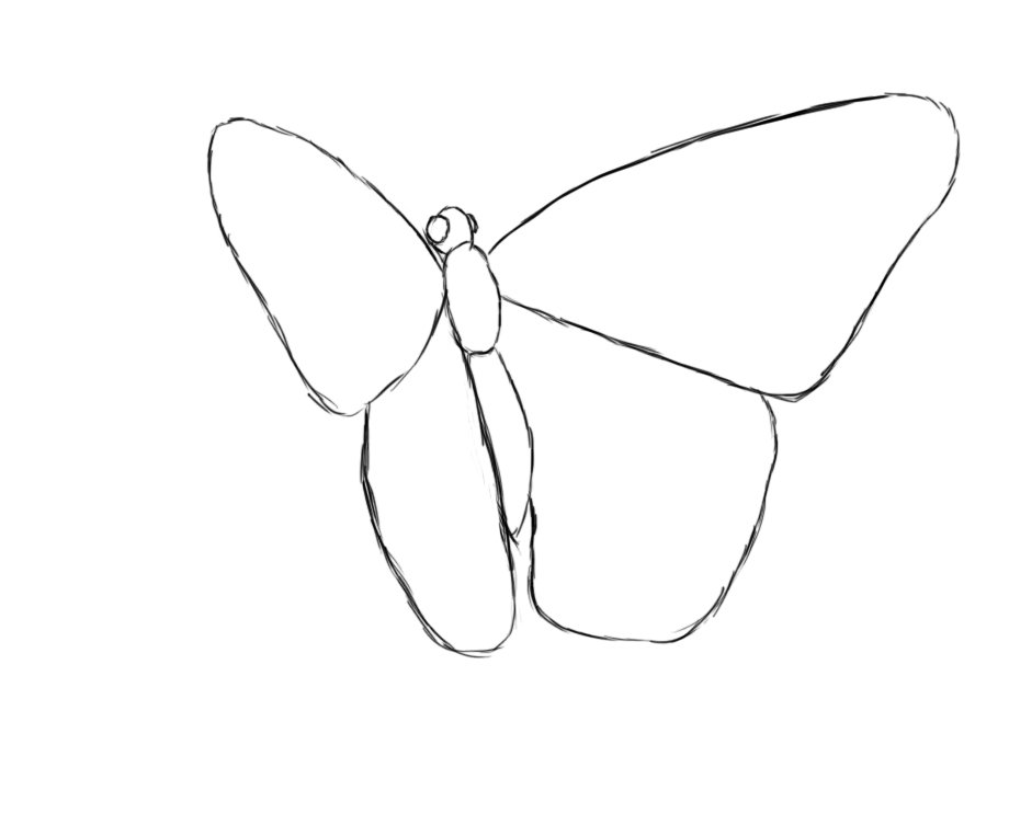 Flying Butterfly Drawing Picture