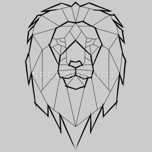 Geometric Lion Drawing Photo