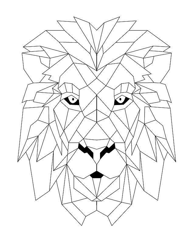 Geometric Lion Drawing Pics