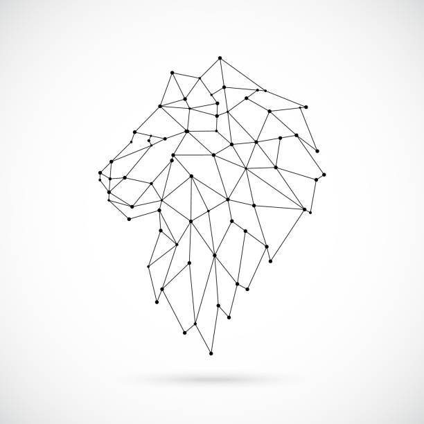 Geometric Lion Drawing Pictures