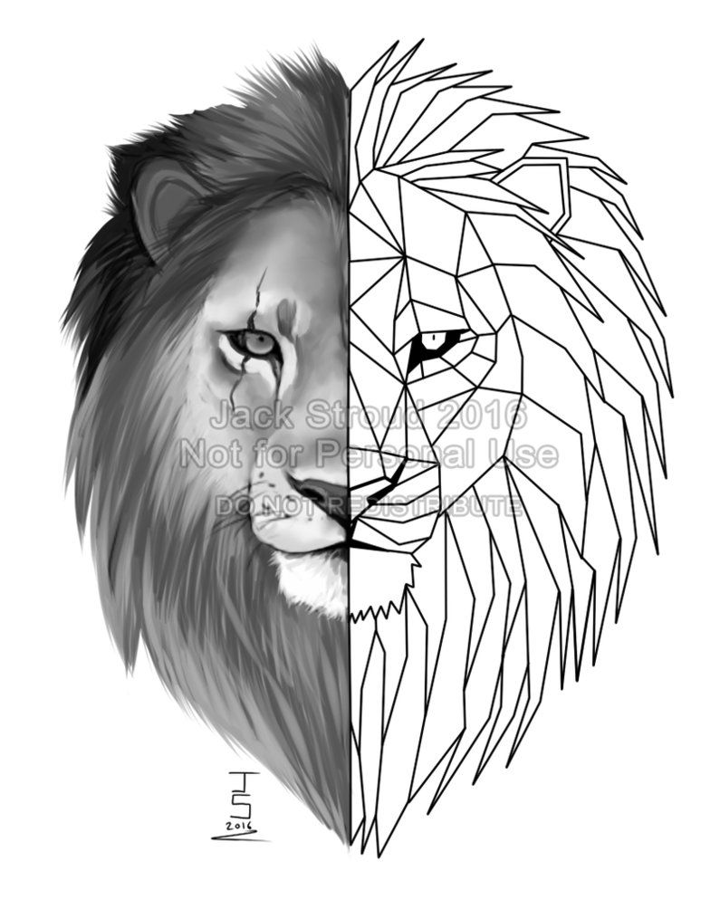 Geometric Lion Face Drawing Image