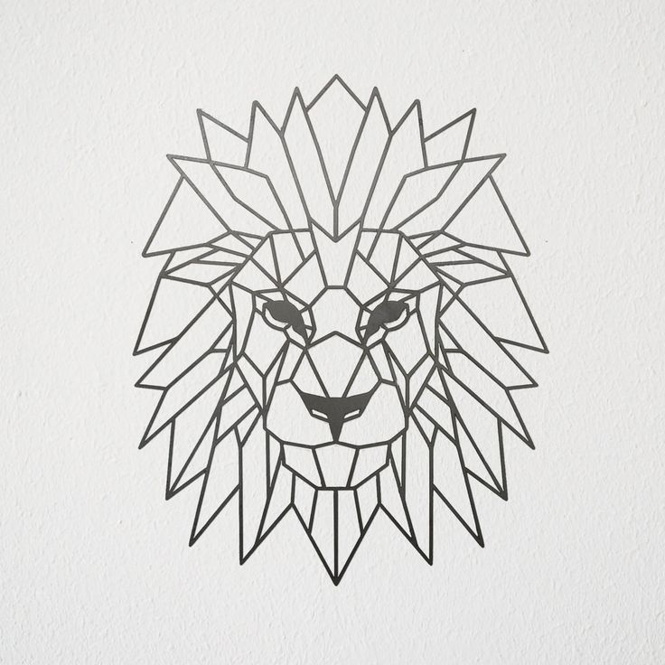 Geometric Lion Face Drawing Photo