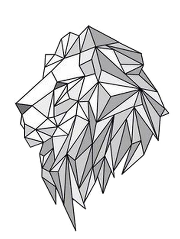 Geometric Lion Face Drawing Pics