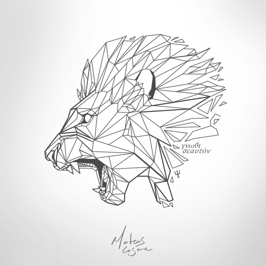 Geometric Lion Face Drawing Picture