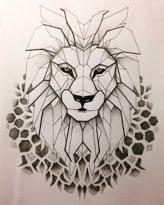 Geometric Lion Face Drawing Realistic