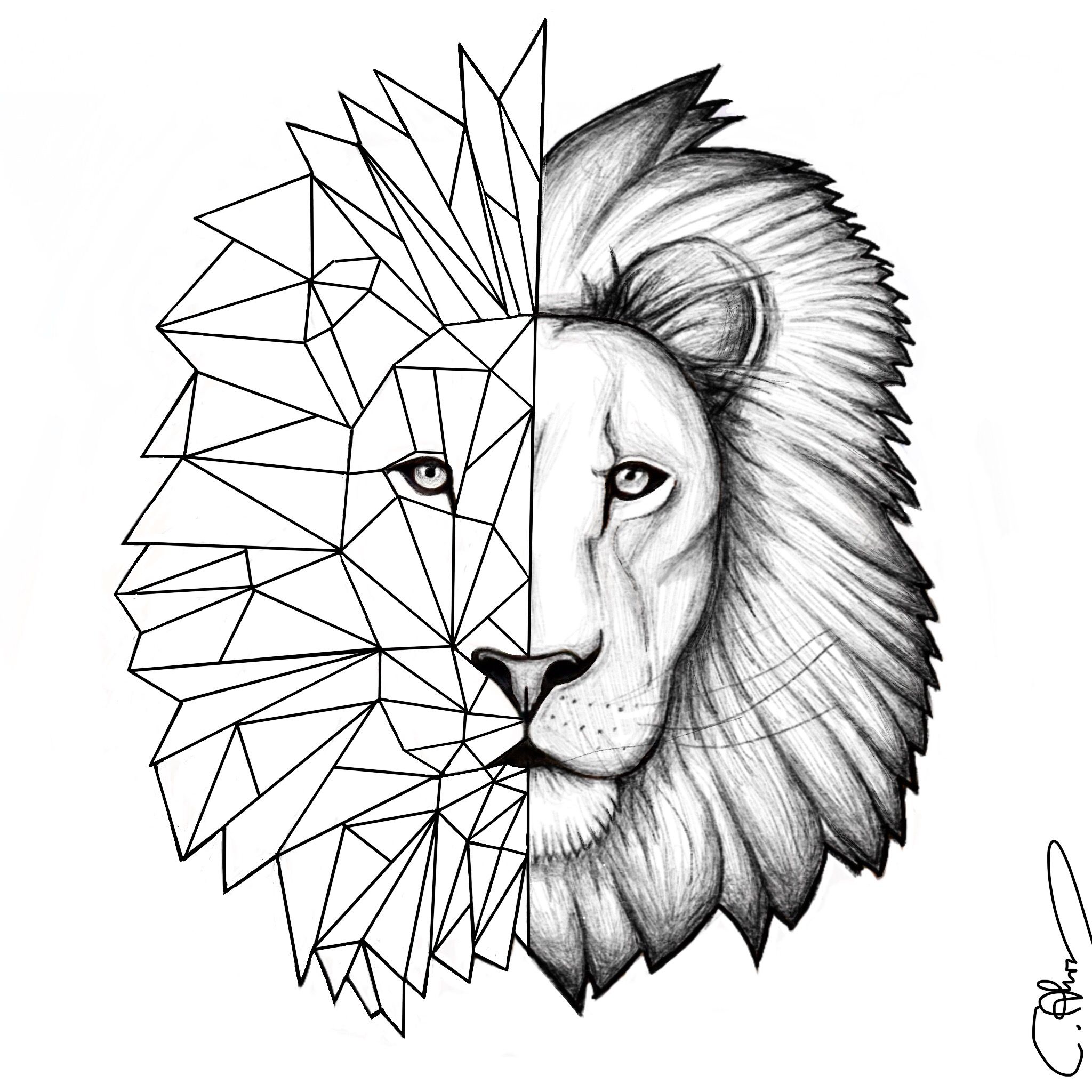 Geometric Lion Face Drawing