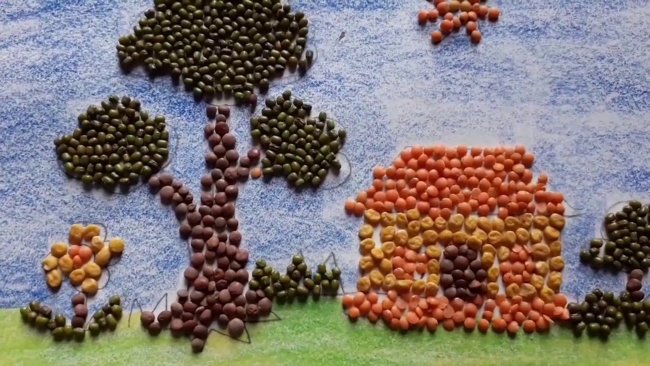 Grains And Pulses Drawing Best