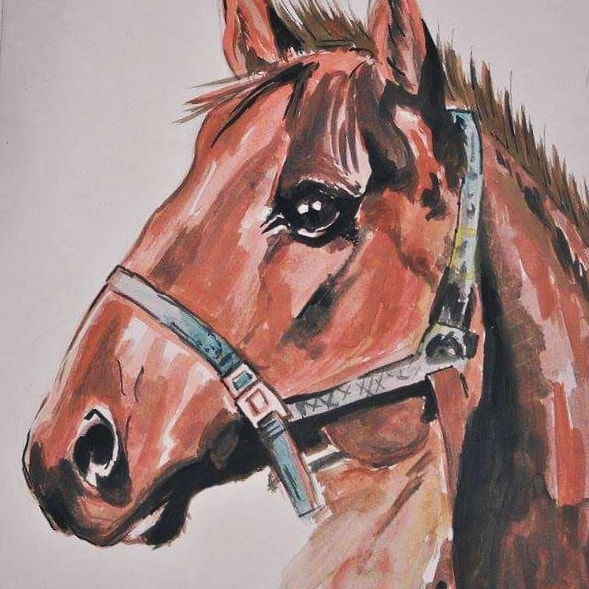 Horse Head Colored Drawing