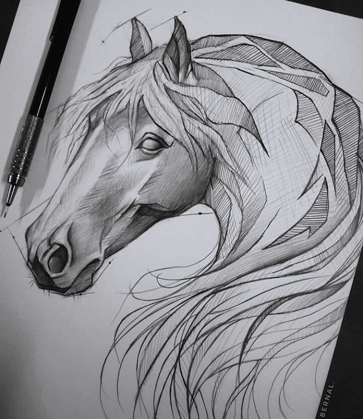 Horse Tattoo Drawing