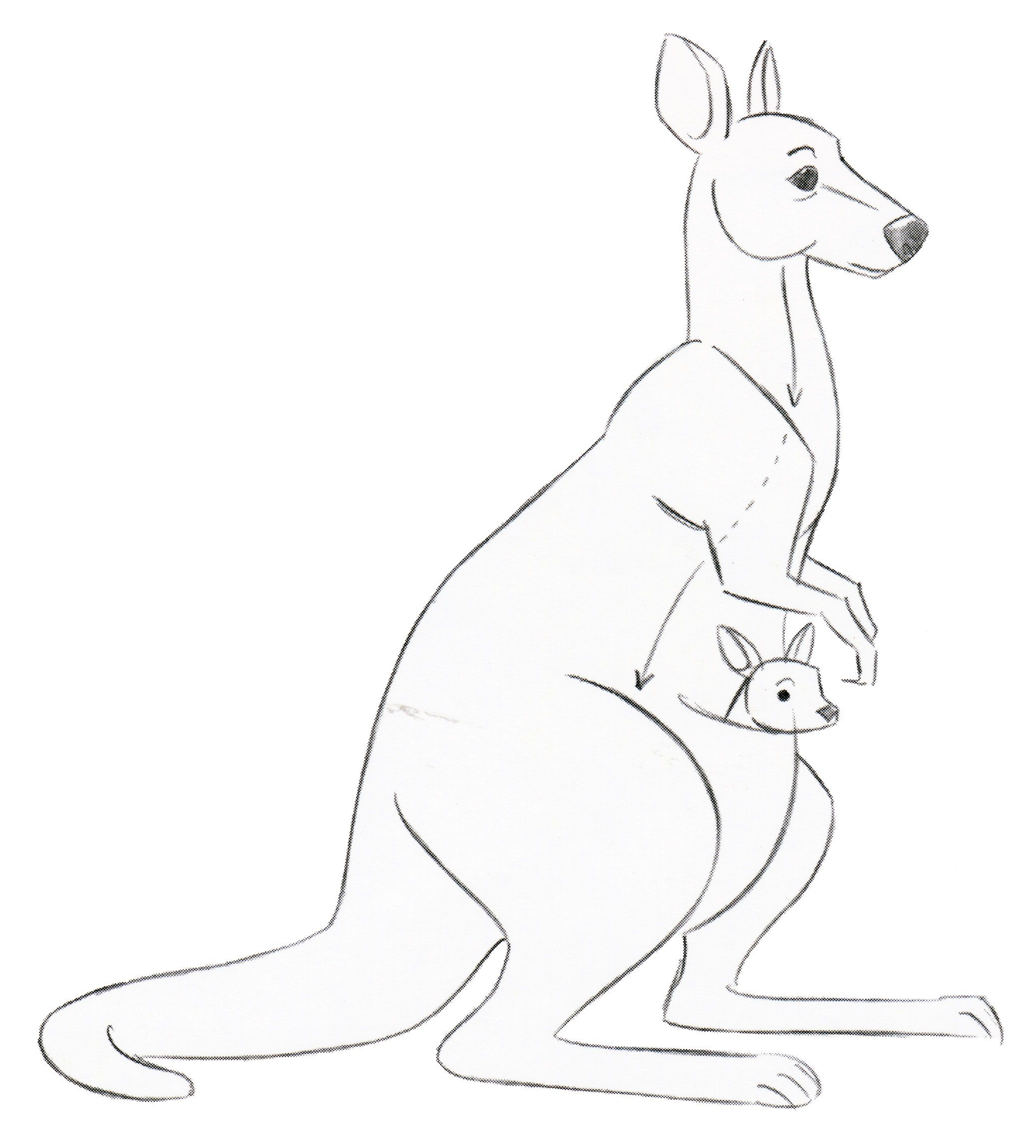 Joey Kangaroo Drawing Image