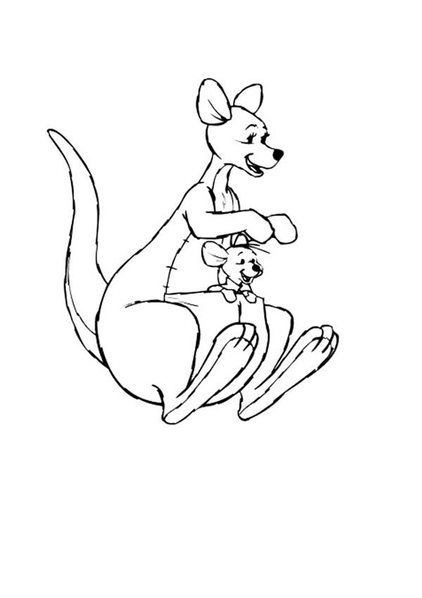Joey Kangaroo Drawing Pic
