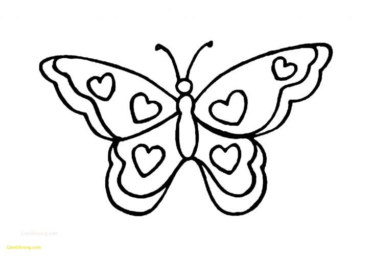 One single line drawing of beautiful butterfly... - Stock Illustration  [67582252] - PIXTA