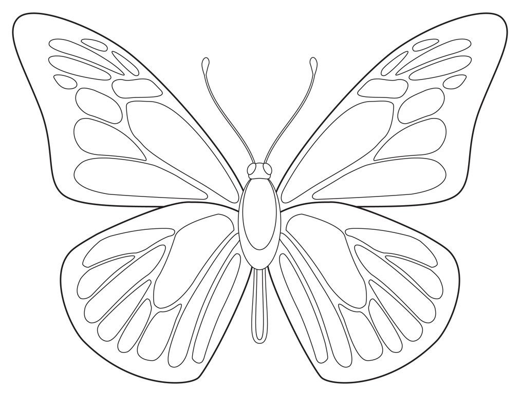 Kids Butterfly Drawing Image