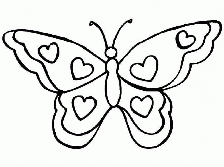 Kids Butterfly Drawing Picture