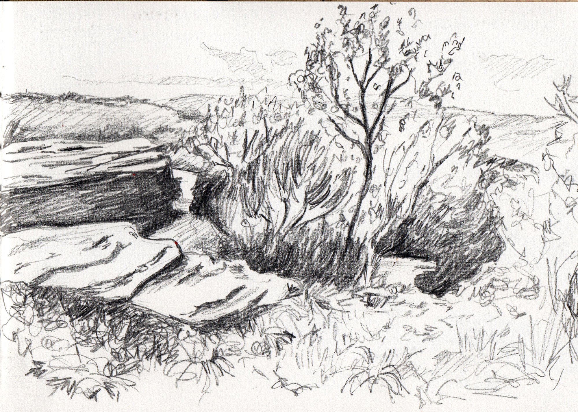 Landscape Drawing Image