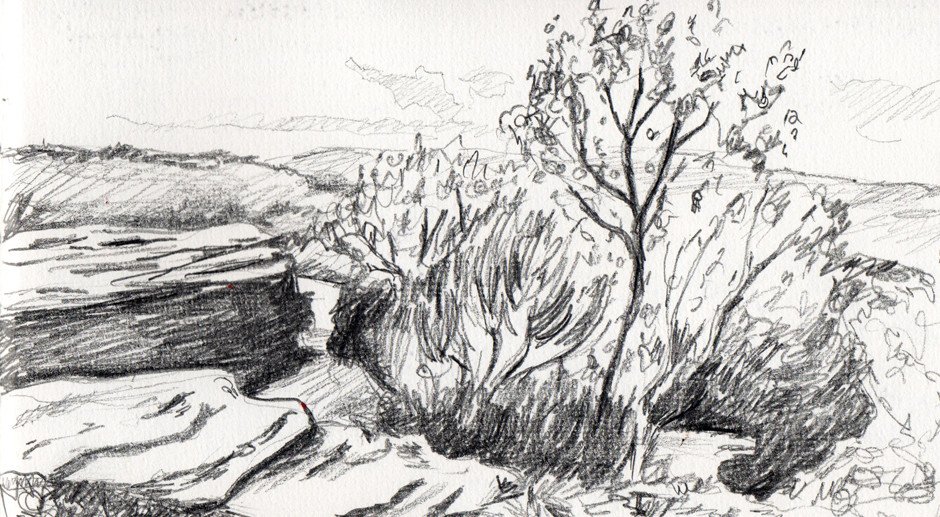 Landscape Drawing Sketch