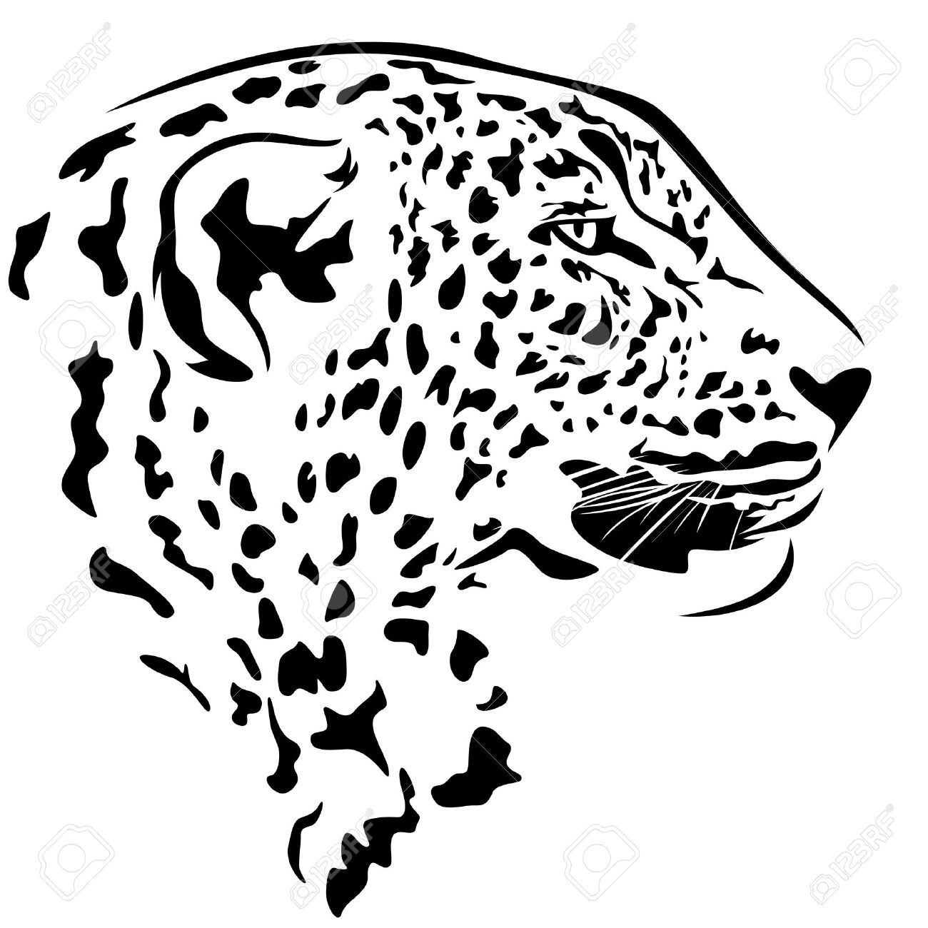 Leopard Head Drawing Picture