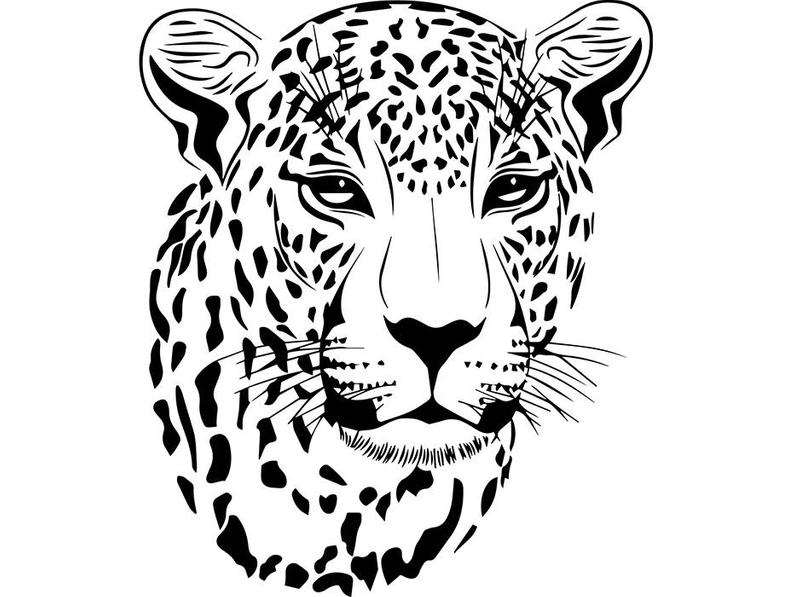 Leopard Head Drawing Realistic