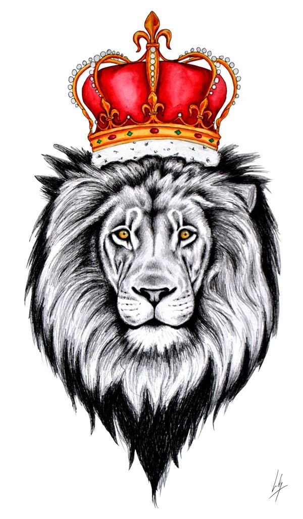 Lion Crown Drawing Amazing