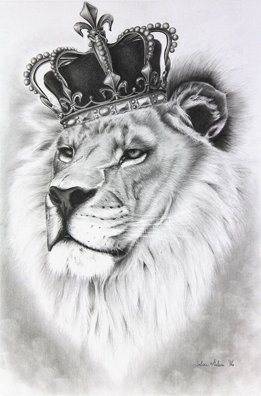 Lion Crown Drawing Beautiful Image