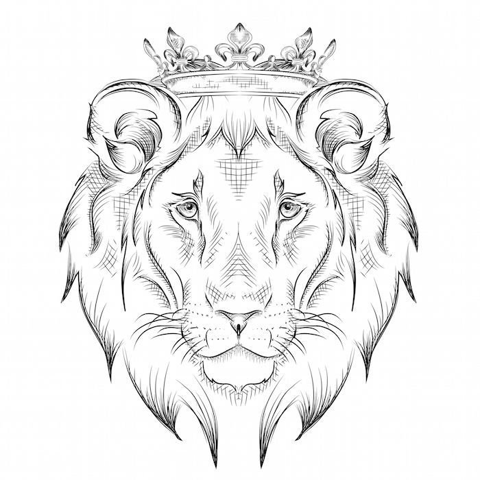 Lion Crown Drawing Image