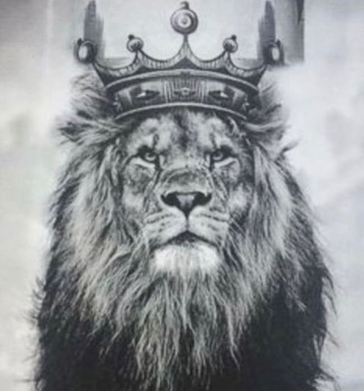 Lion Crown Drawing Images