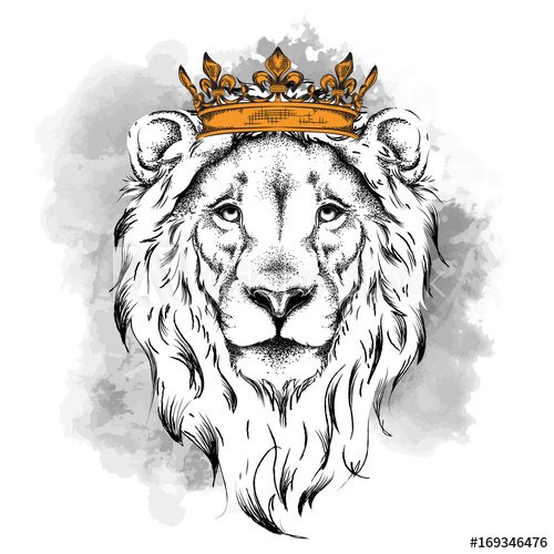 Lion Crown Drawing Photo