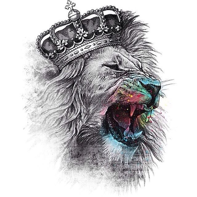 Lion Crown Drawing Pics