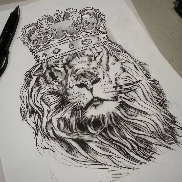 Lion Crown Drawing Picture