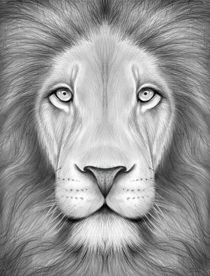 Lion Head Drawing Amazing