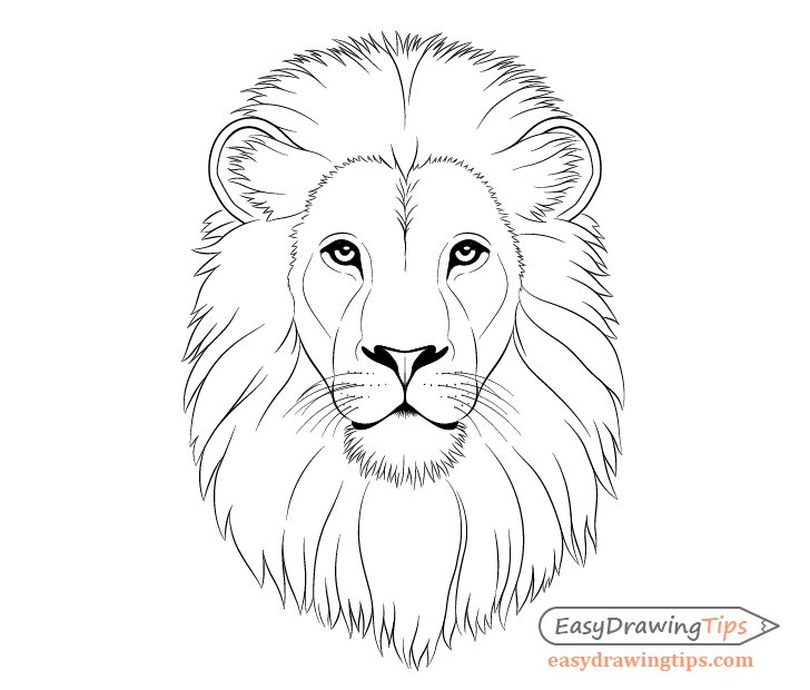 Lion Head Drawing Art